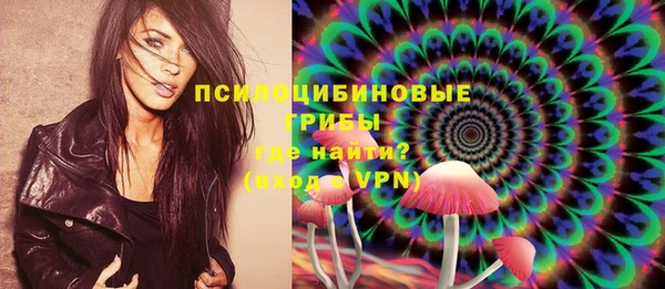 трава Богородицк