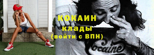трава Богородицк
