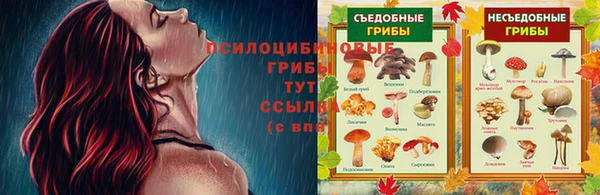 трава Богородицк